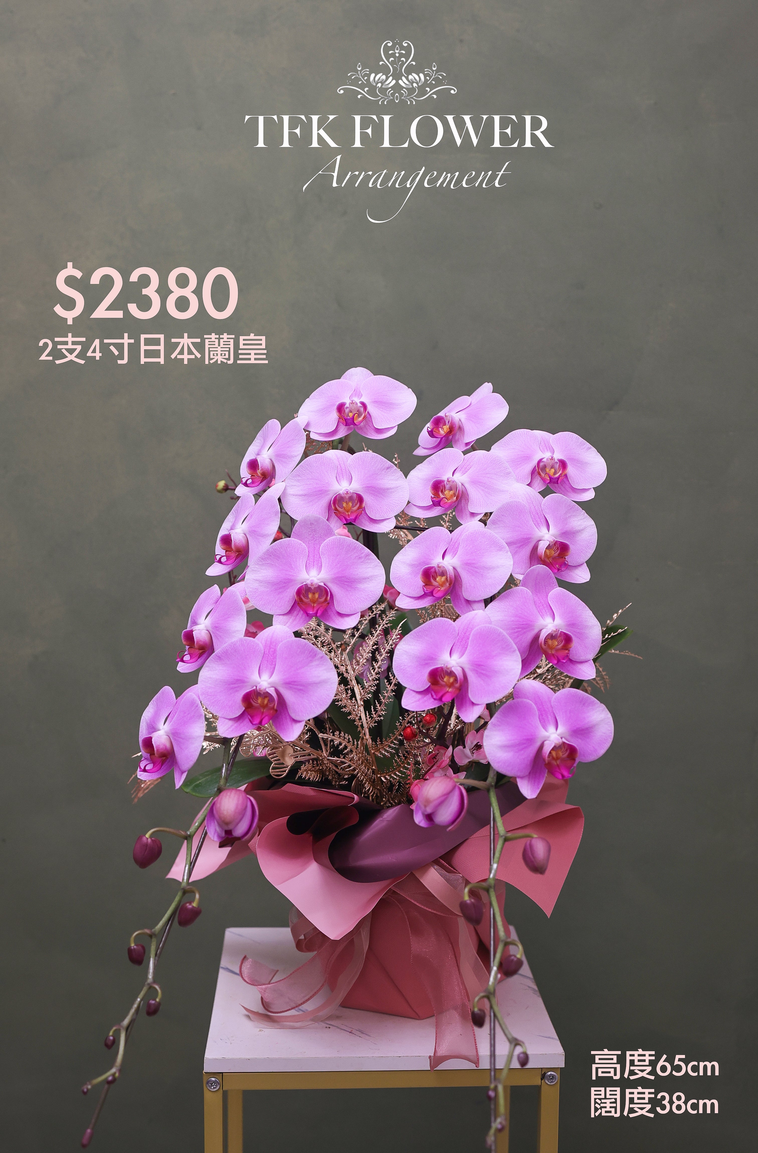 日本迷你蘭皇2支– TFK Flower